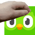 :pat-duolingo: :pat-duolingo: