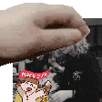 :pet-1mon: :pet-1mon: