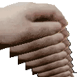 :pet-8-pheus: :pet-8-pheus: