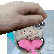:pet-heartseal: