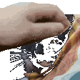 :pet-oreo2: :pet-oreo2: