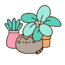 :pusheen-in-plants-transparent: