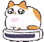 :roomba-cat: :roomba-cat: