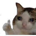 :sad-cat-thumbs-up: