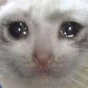 :sadge: