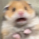 :scared-hamster: