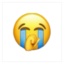 :sob-neha: