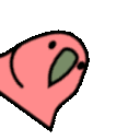 :spinning-parrot: