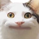 :stare: :stare: