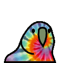 :tiedyeparrot: