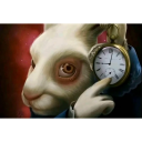 :time-is-ticking: :time-is-ticking: