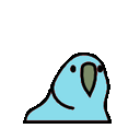 :ultrafastcatppuccinparrot-67: