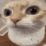 :uuh-animated: :uuh-animated:
