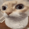 :uuh: