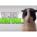 :wemighthavewon: