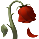 :wiltedrose: :wiltedrose: