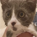 :zoomies-fear: :zoomies-fear: