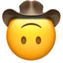 :upside-down-cowboy: