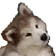 이모지