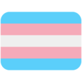 :transpride: